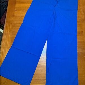 Club Monaco Blue Men's Pants